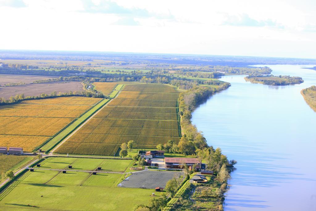Hotel Les Cinq Sens Du Chateau Mayne Lalande Castelnau-de-Médoc Zewnętrze zdjęcie
